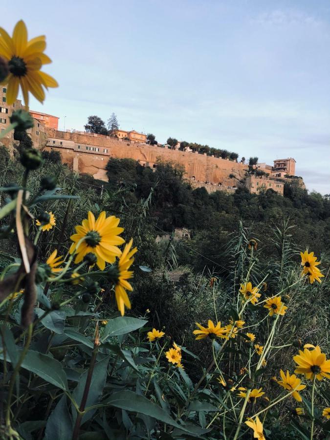 Il Girasole Storico Daire Pitigliano Dış mekan fotoğraf
